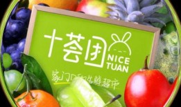 免费吃瓜爆料称911,免费吃瓜爆料背后的真相